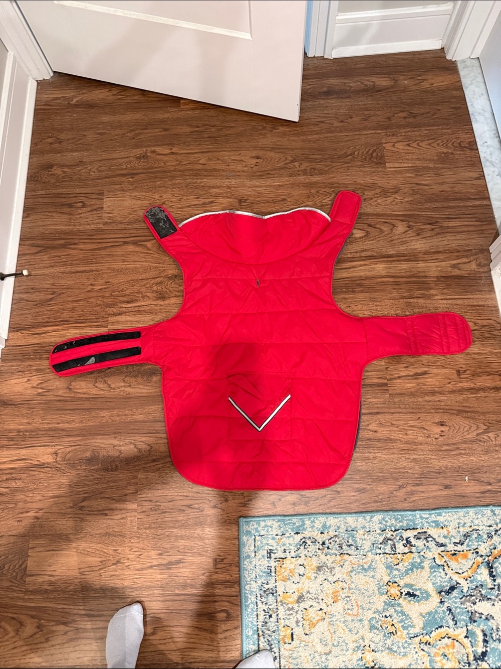Bright Red Quilted Dog Coat with Reflective Accent